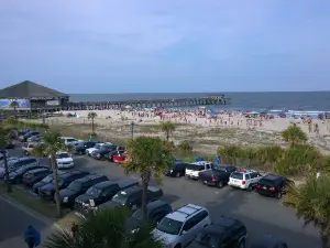 Fannies On the Beach
