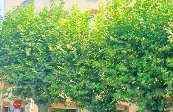 Hostal - Restaurant Les Disset Fonts