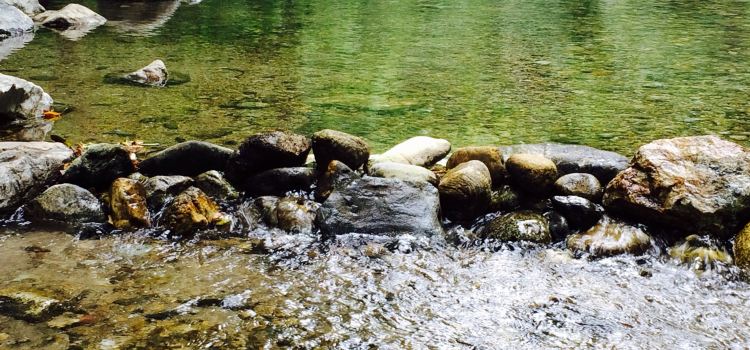 Big Sur River Inn Restaurant