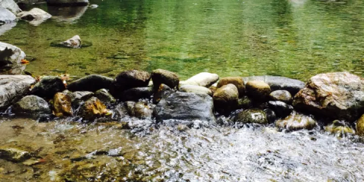 Big Sur River Inn Restaurant