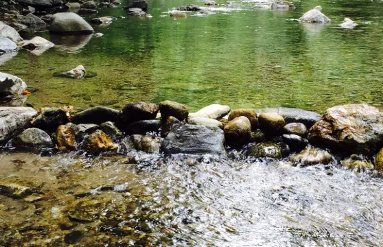 Big Sur River Inn Restaurant