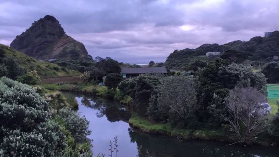 Piha RSA