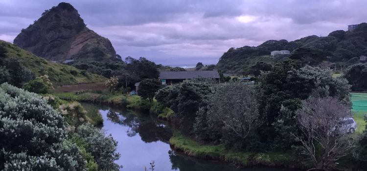 Piha Memorial RSA