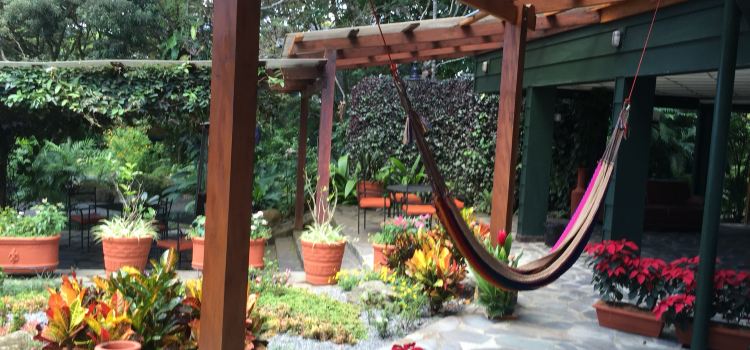 El Jardin at Monteverde Lodge & Gardens