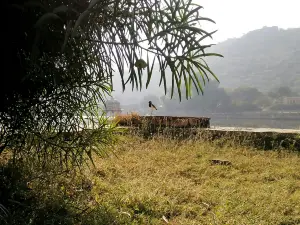 Lake View Garden Restaurant