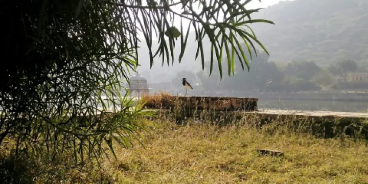 Lake View Garden Restaurant