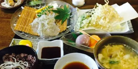 Izakaya Restaurant Ebizo