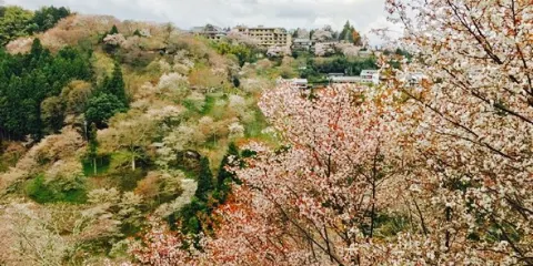 Nyoirin-Jiochadokoro