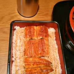 Honke Shibato User Photo