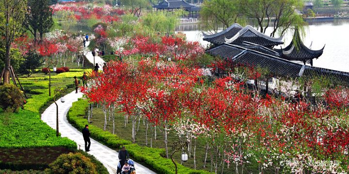 Fengchenghe Peach Garden