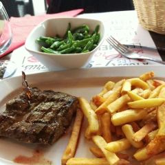 Hippopotamus User Photo