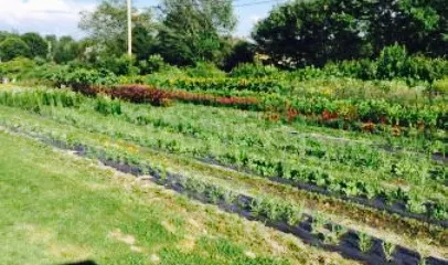 The Well at Jordan’s Farm