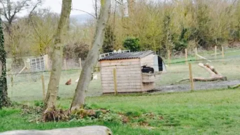 Fernygrove Farm Shop & Coffee Shop in Bracknell