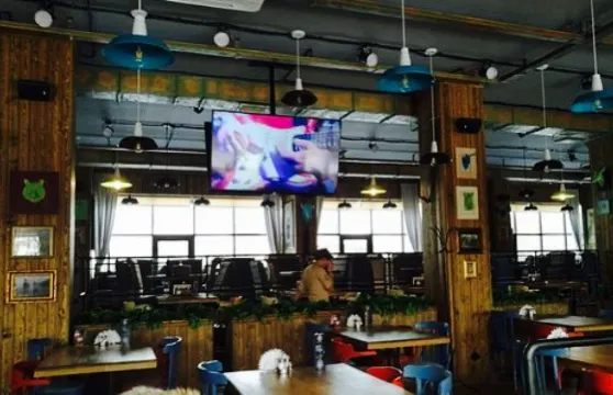 Cafe Bar Medvezhiy Ugol