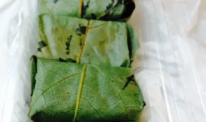 Sasaoka Shokudo Kintetsuyoshino Ekimae