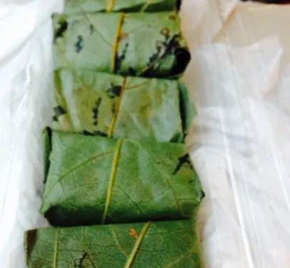 Sasaoka Shokudo Kintetsuyoshino Ekimae