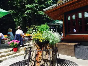 Waldgasthaus Zum Kuckuck