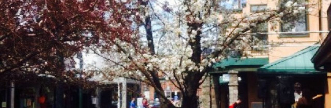 Flagstaff Brewing Company