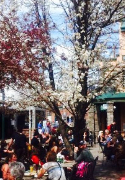 Flagstaff Brewing Company