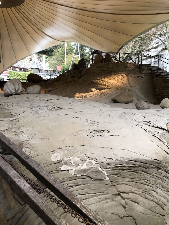 Glacier Garden (Gletschergarten)
