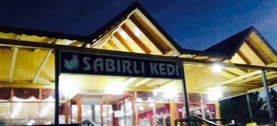 Sabırlı Kedi