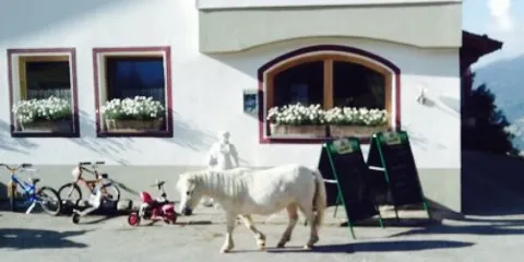 Jausenstation Almluft