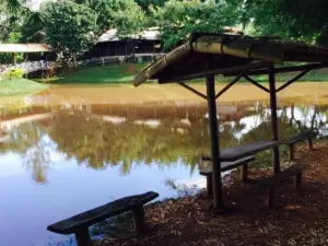 Restaurante Mina D'agua
