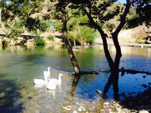 Taverna Gefyra Preveli