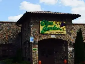Olive Garden Italian Restaurant