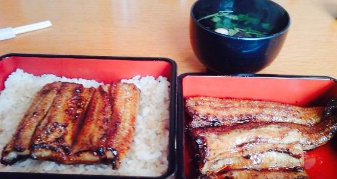 Unagi-no-unafuji