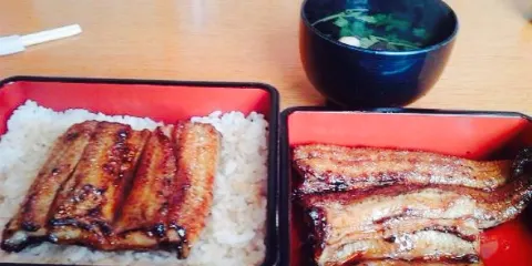 Unagi-no-unafuji