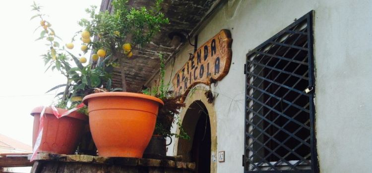 Pane e Vino