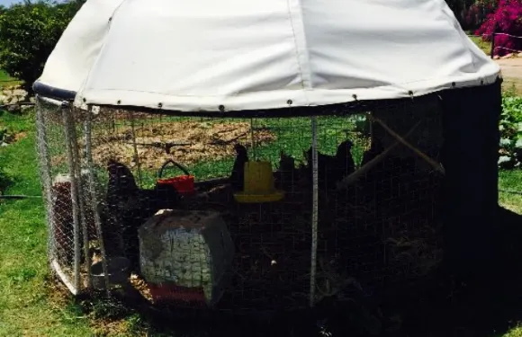 River Front Restaurant