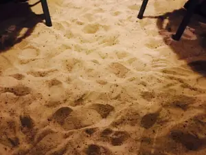 The Beach Shack Restaurant