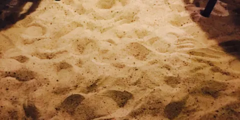 The Beach Shack Restaurant