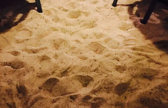 The Beach Shack Restaurant