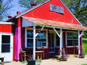 Jincy's Kitchen