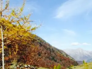 Azienda Agrituristica Besana Fratelli