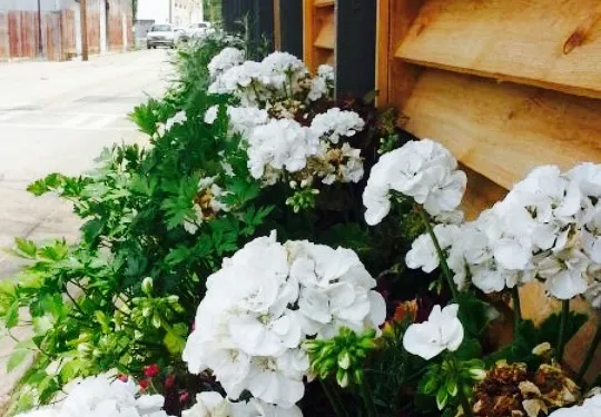 The French Market and Tavern