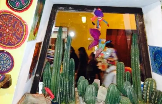 Ayahuasca - Arte Cafè Conocimiento