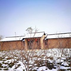 桐乡合悦百翠庄园·家飨餐厅 User Photo