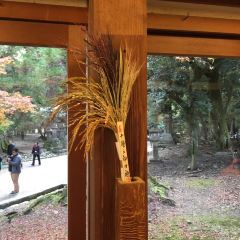 Kasuga Ninai Jyaya User Photo