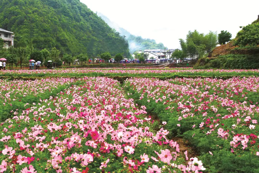 Lengwu Flower Valley