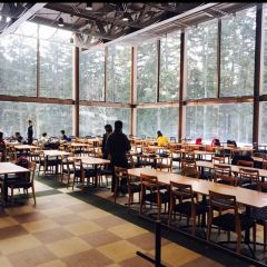 Nipulisenlin Restaurant User Photo