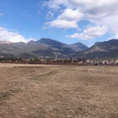 Lashihaichamagudao Grilled Fish User Photo