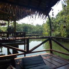 Blue Lagoon Restaurant User Photo