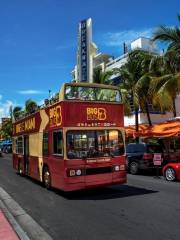 Big Bus Miami 邁阿密隨上隨下觀光巴士