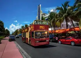 Big Bus Tours Miami