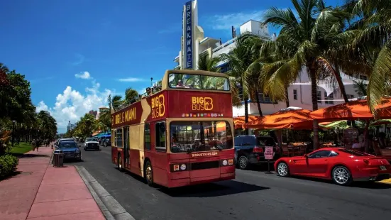 Big Bus Miami 邁阿密隨上隨下觀光巴士