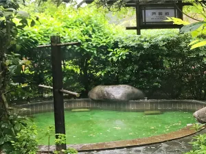 Five Stars Zilong Bay Hot Spring